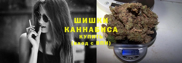 тгк Козельск