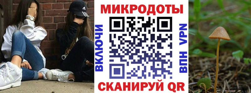Купить где  Бобров  Псилоцибиновые грибы Magic Shrooms 